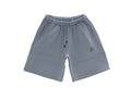 VOID SHORTS TITANIUM