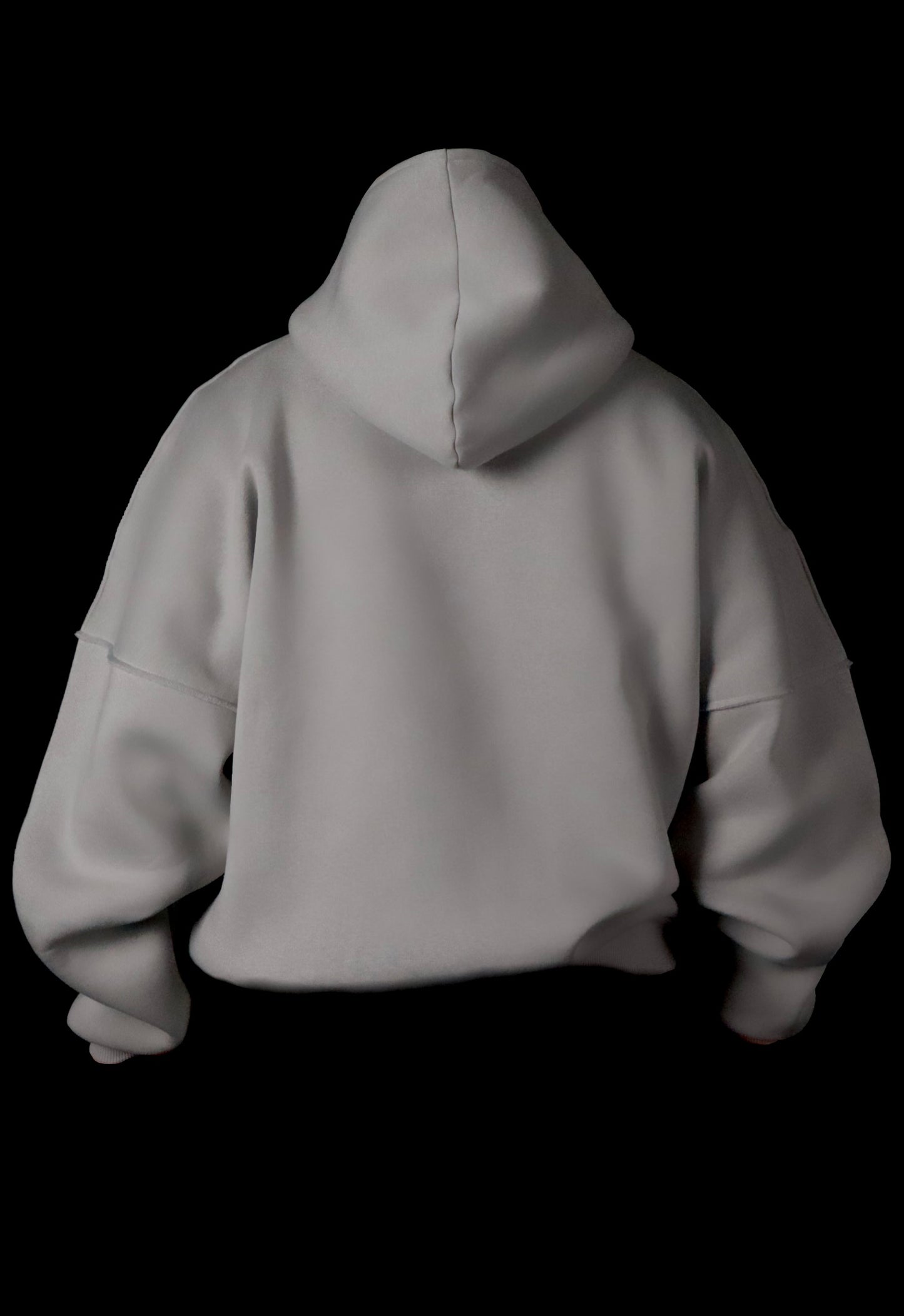 BLEXED HOODIE ICE